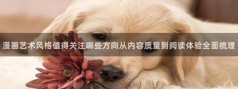 樱花日语词汇大全：漫画艺术风格值得关注哪些方向从内容质量到阅读体验全面梳理