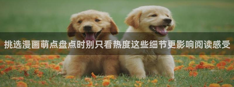 樱花日语新手入门:挑选漫画萌点盘点时别只看热度这些细节更影响阅读感受